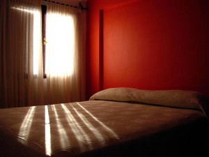 plagas de chincges de cama en los dormitorios