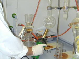 los laboratorios desarrollan biofertilizantes con microalgas
