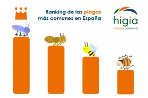 ranking de las plagas más comunes en España