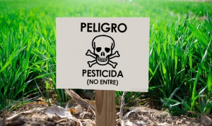 La exposición a pesticidas causa ELA
