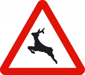 señal de peligro animales salvaje cerca de carretera