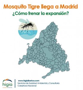 Detectan mosquito tigre en Madrid